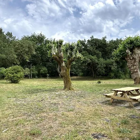 Maison Coudere Ferienhaus *